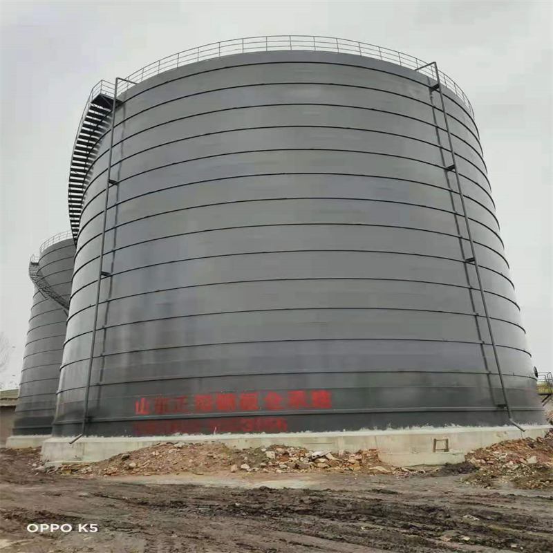 大丰3万吨大型钢板库