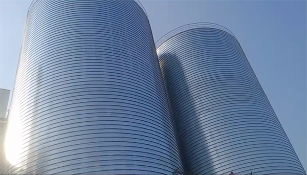 大丰2座混凝土高架卷板仓